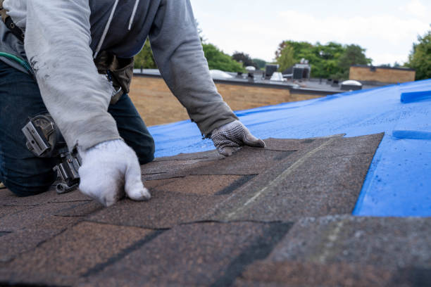 Best Shingle Roofing Installation  in Carrollton, MO