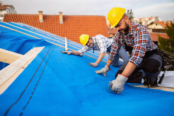 Best Emergency Roof Repair  in Carrollton, MO