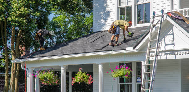 Best Roof Gutter Cleaning  in Carrollton, MO